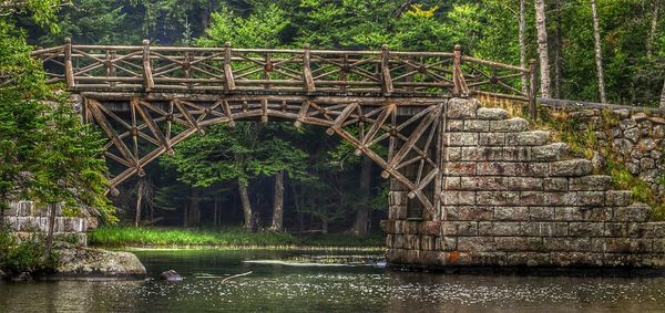 Man walking on bridge in forest