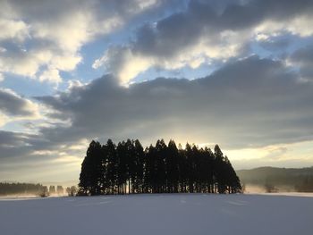 Trees on snow covered land against sky during sunset