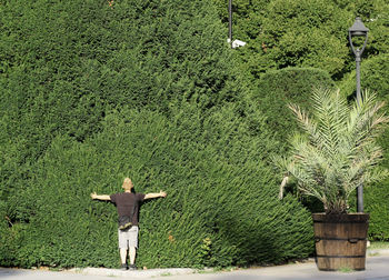 Rear view of woman standing by plants, raised hands