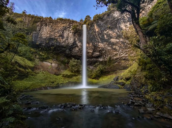 Scenic view of waterfall in forest