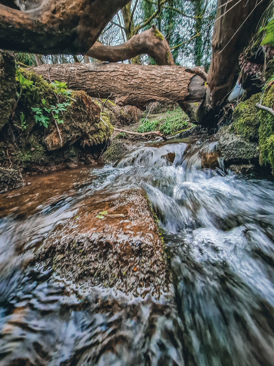 SCENIC VIEW OF WATERFALL IN FOREST