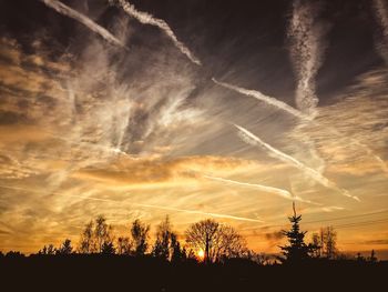 Silhouette trees against sky during sunset