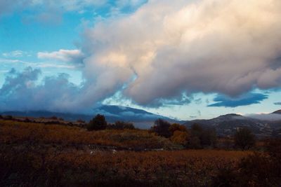 Scenic view of landscape against cloudy sky