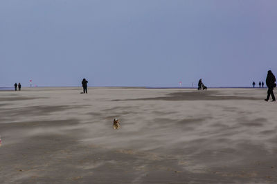 People on beach against clear sky