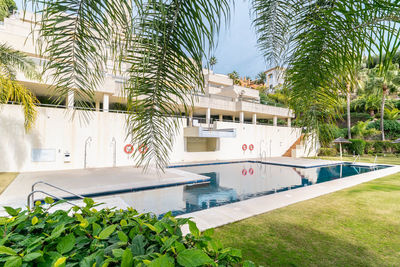 A poolside view of a public pool inside an apartment complex along the costa del sol