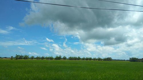 Scenic view of field against sky