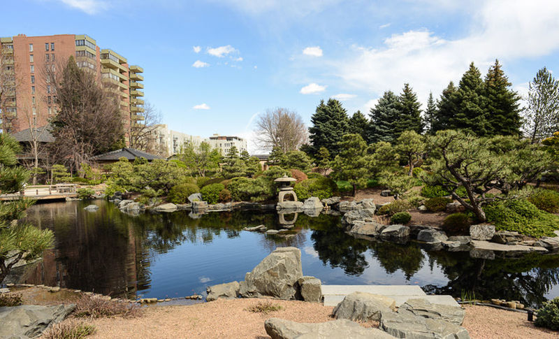 tree, water, built structure, architecture, building exterior, sky, reflection, river, cloud - sky, day, lake, rock - object, nature, cloud, pond, outdoors, growth, tranquility, no people, city