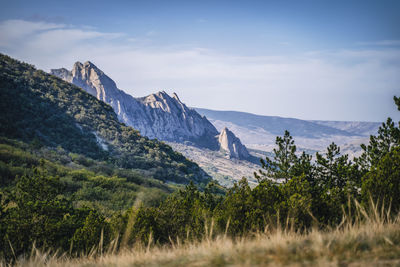 Scenic view of landscape and mountains against sky