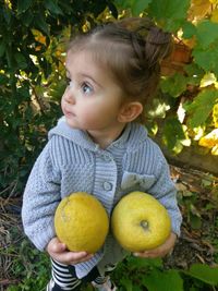 High angle view of girl holding lemons on field