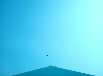 Bird flying against clear blue sky