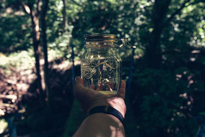 Close-up of hand holding jar against trees