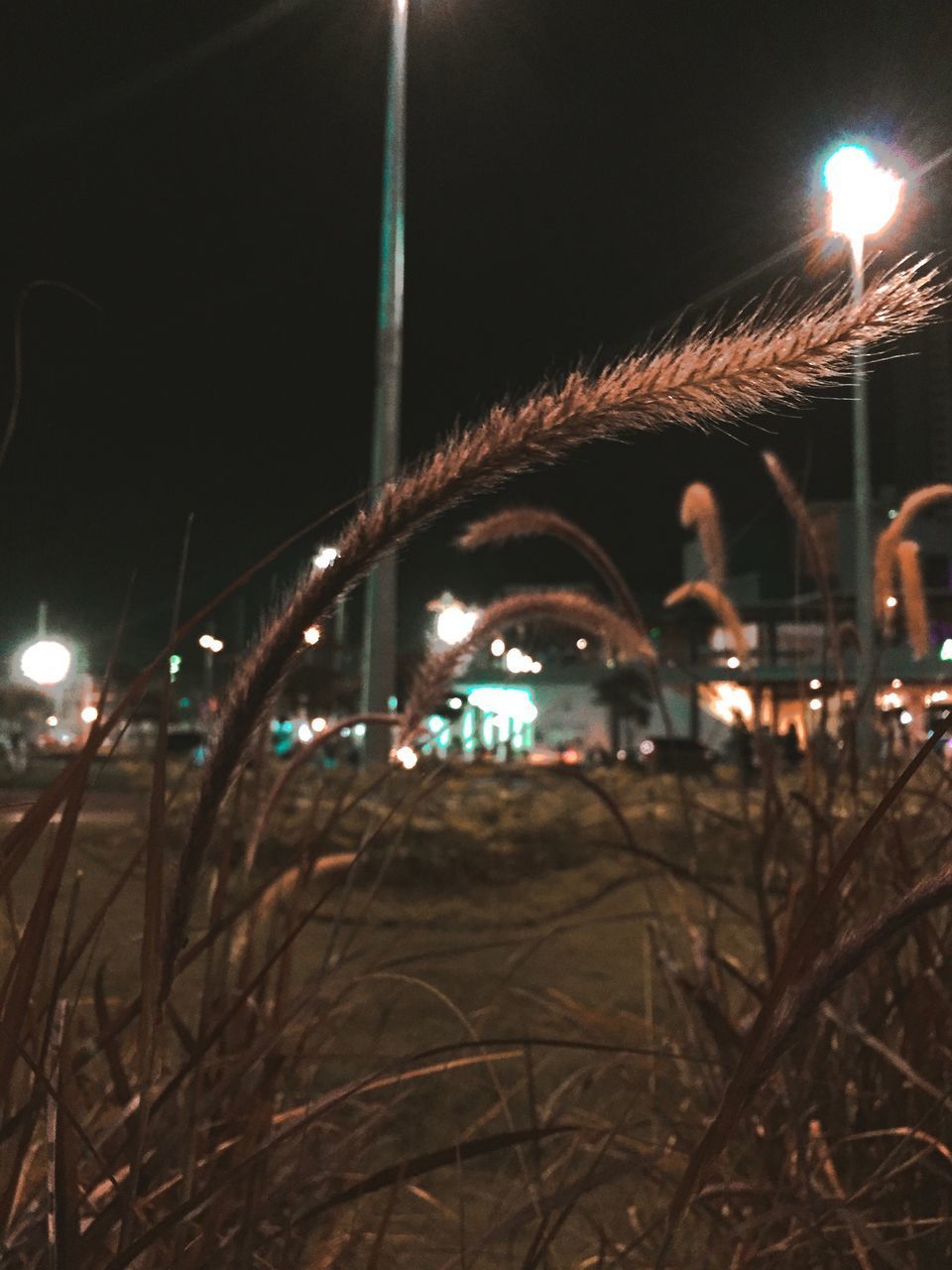 VIEW OF ILLUMINATED BRIDGE AT NIGHT