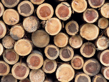 Full frame shot of logs
