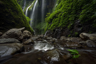 Scenic view of waterfall in forest