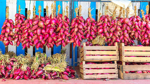 Tropea sweet red onion from eco farm on display for sale in local market