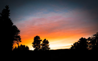 Silhouette trees against orange sky