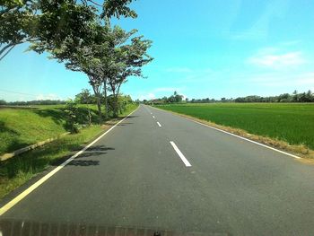 Road by trees against sky