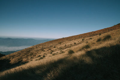 Scenic view of field against clear blue sky