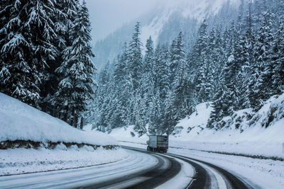 Snow covered road by trees against sky