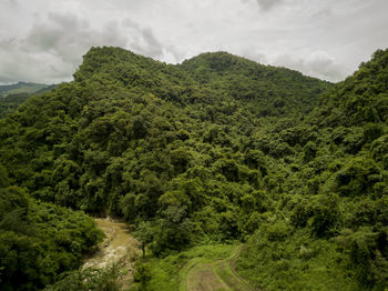 Scenic view of forest against sky