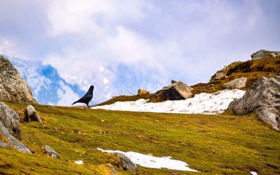 Man standing on mountain against sky
