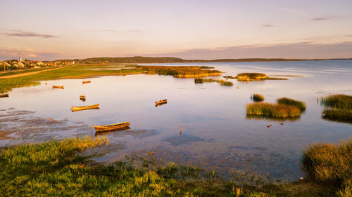 Boats on lake in a sunny summer evening, sunset light. view boats parking on calm water. braslav