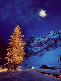 Illuminated tree by snow covered mountains against sky at night