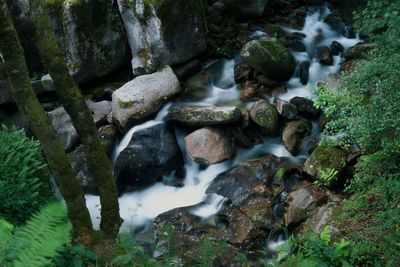 View of waterfall in forest
