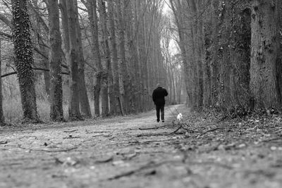 Rear view of man walking with dog on footpath amidst trees