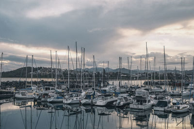 Boats moored at harbor