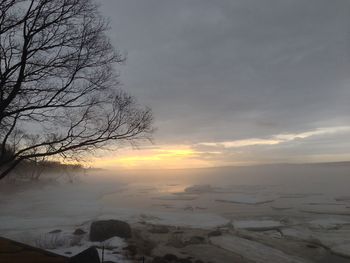 Bare trees on landscape at sunset