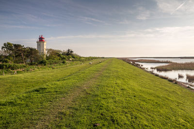 Lighthouse by grass against sky