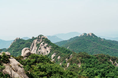 mountain