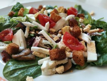 Close-up of food served in plate