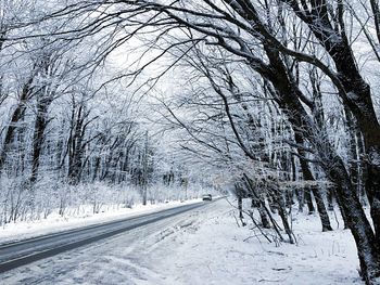 Snow covered road amidst trees during winter