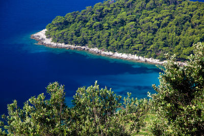 High angle view of trees by sea