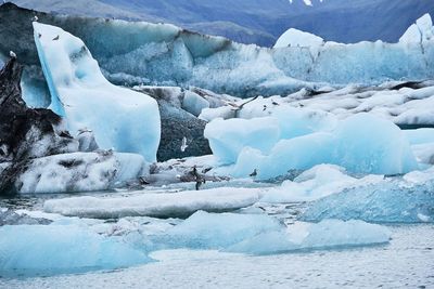 Iceland jökulsarlon glacierlagoon