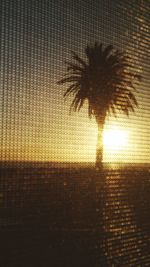 View of trees at sunset