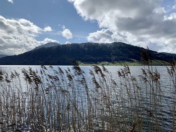 Scenic view of land against sky during winter