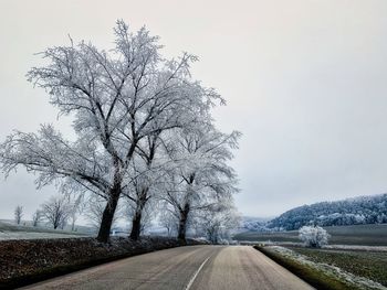 Road amidst trees against sky during winter