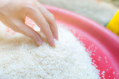 Woman hand holding rice in plastic tray. uncooked milled white rice. rice price in world market.