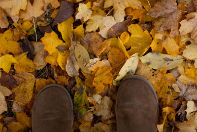 Low section of person standing on dry leaves during autumn