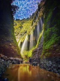 Rear view of man standing by waterfall in forest