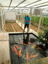 Man standing by plants