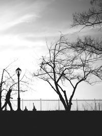 Low angle view of silhouette tree against sky