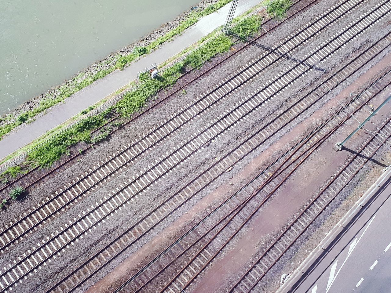 HIGH ANGLE VIEW OF RAILROAD TRACKS BY PLANTS