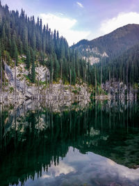 Scenic view of lake by trees against sky