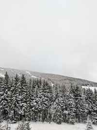 Scenic view of field against clear sky during winter