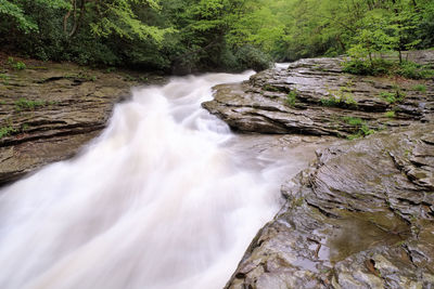 View of waterfall in forest