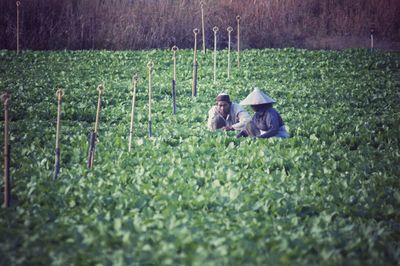 Farmers working at agricultural field